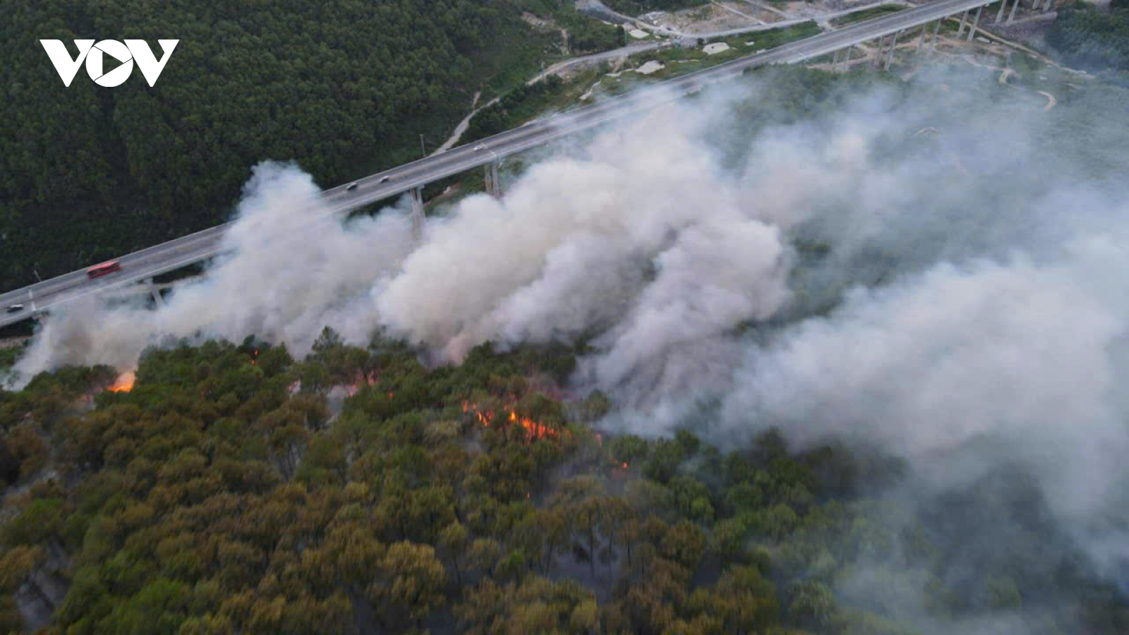 Cháy rừng thông tại Nghệ An, huy động gần 400 người tham gia chữa cháy